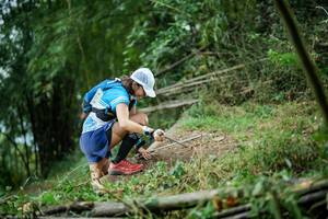 BIB: 
                            <button type="button" onclick="openModal(19433007)" class="btn btn-primary btn-sm float-right btn-popup" data-toggle="modal" data-target=".modal-high-quality">
                        <i class="fas fa-shopping-cart"></i> Add to Cart
                    </button>
                                            <button type="button" onclick="isThisMe(19433007, true)" class="btn btn-success btn-sm float-right btn-popup btn-isme hidden" data-toggle="tooltip" data-placement="bottom" title="นี่คือรูปของคุณใช่ไหม คลิกที่นี่เพื่อเอาเข้าอัลบั้ม">
                        <i class="fas fa-plus"></i> Add to album
                    </button>
                    <button type="button" onclick="isThisMe(19433007, false)" class="btn btn-warning btn-sm float-right btn-popup btn-isnotme hidden">
                        <i class="fas fa-ban"></i> Remove from album
                    </button>